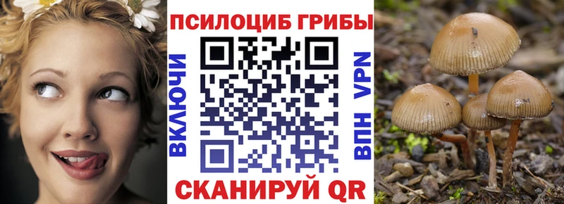 Псилоцибиновые грибы мицелий  Пойковский 